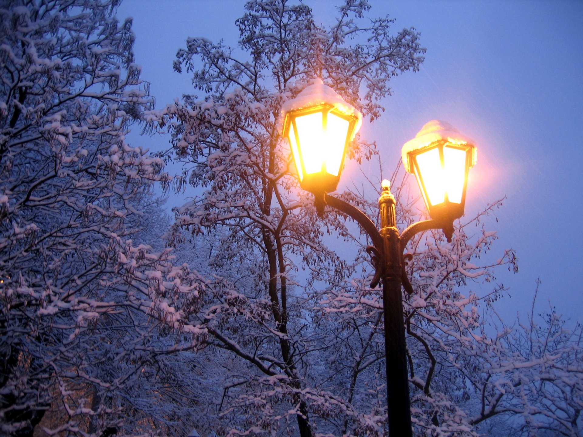 natura inverno neve freddo gelo lanterna luce alberi rami sera