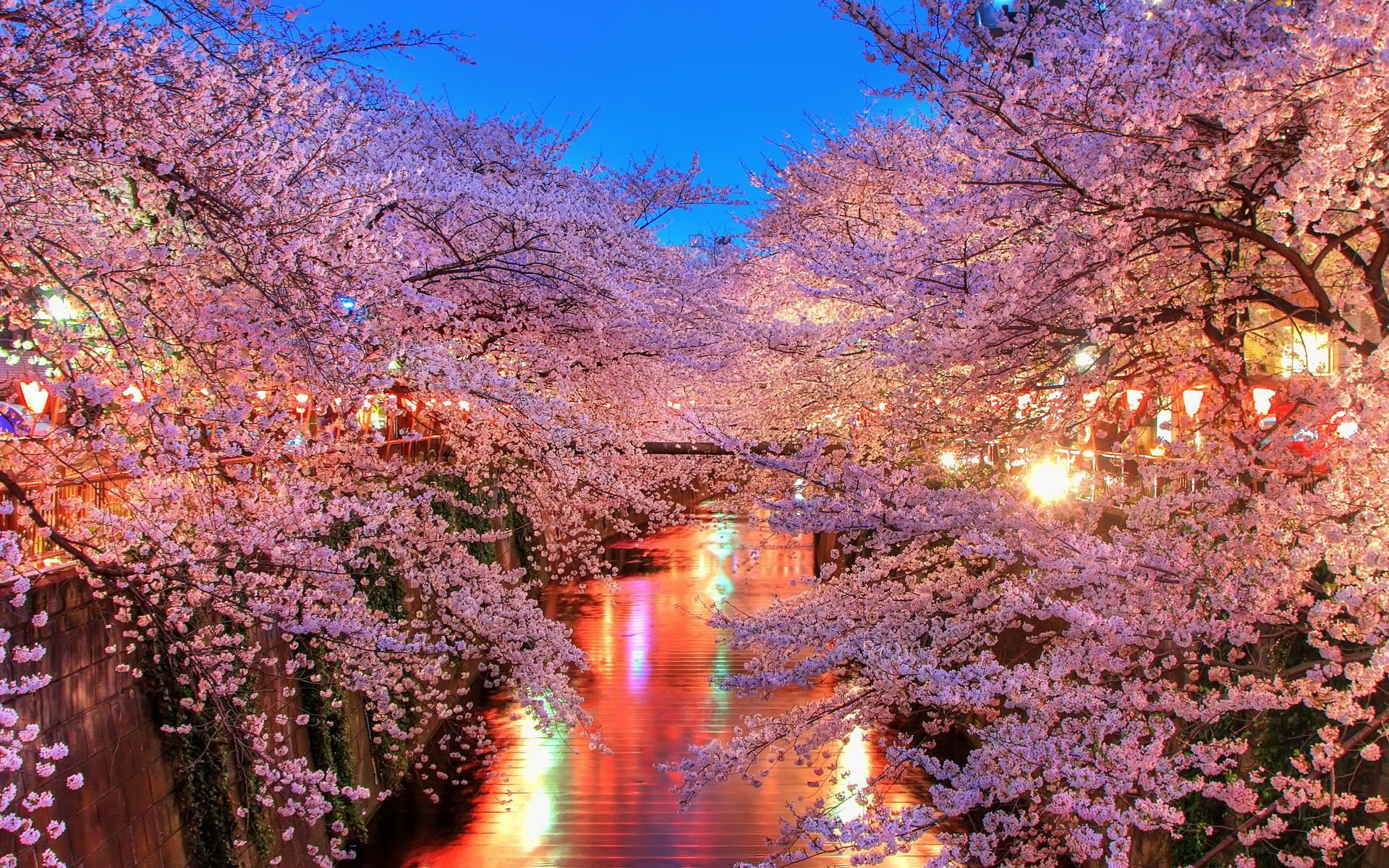 rivière lanternes lumière arbres fleurs printemps