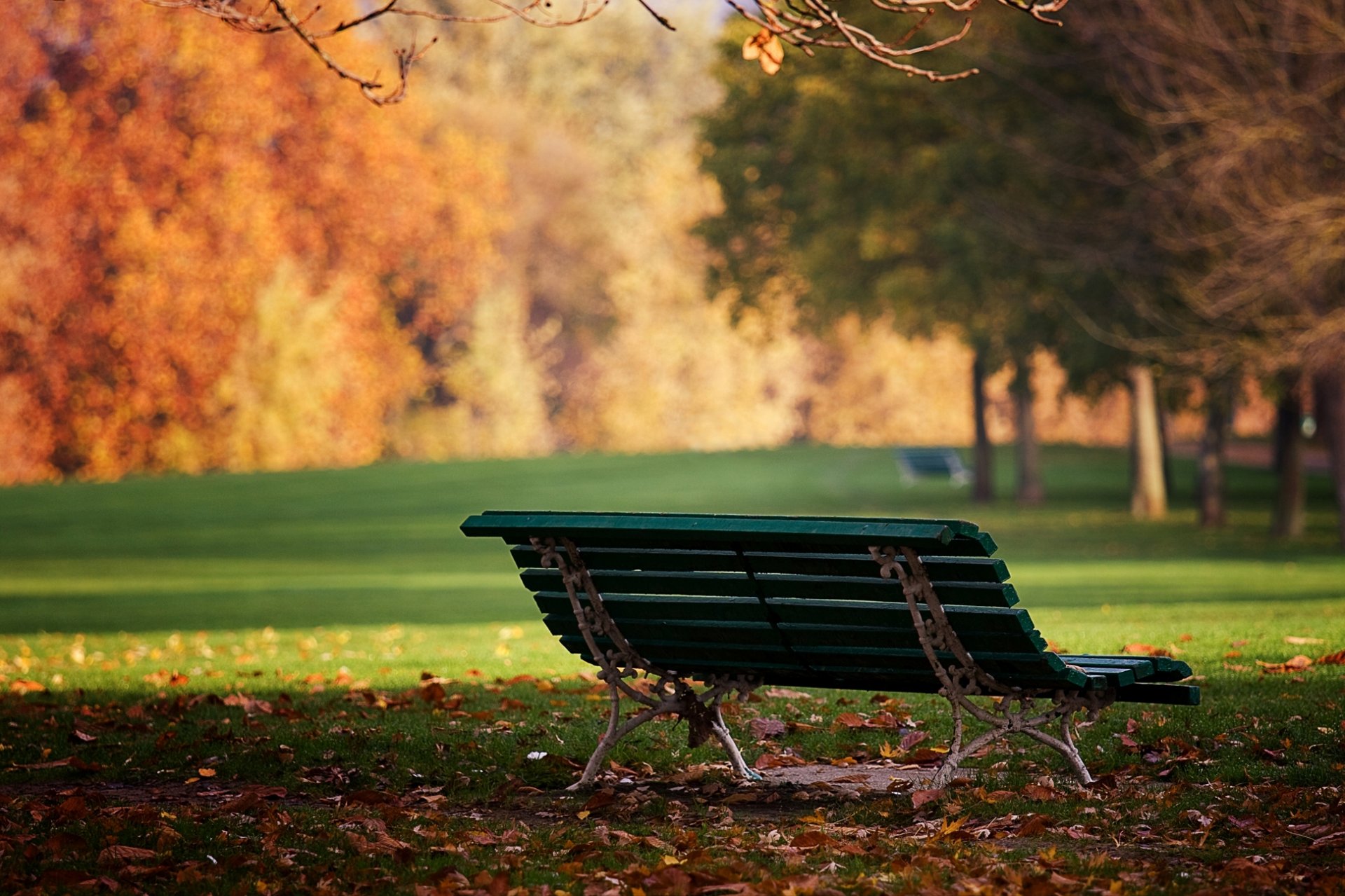 parc banc banc automne feuilles jour soleil nature humeur fond d écran