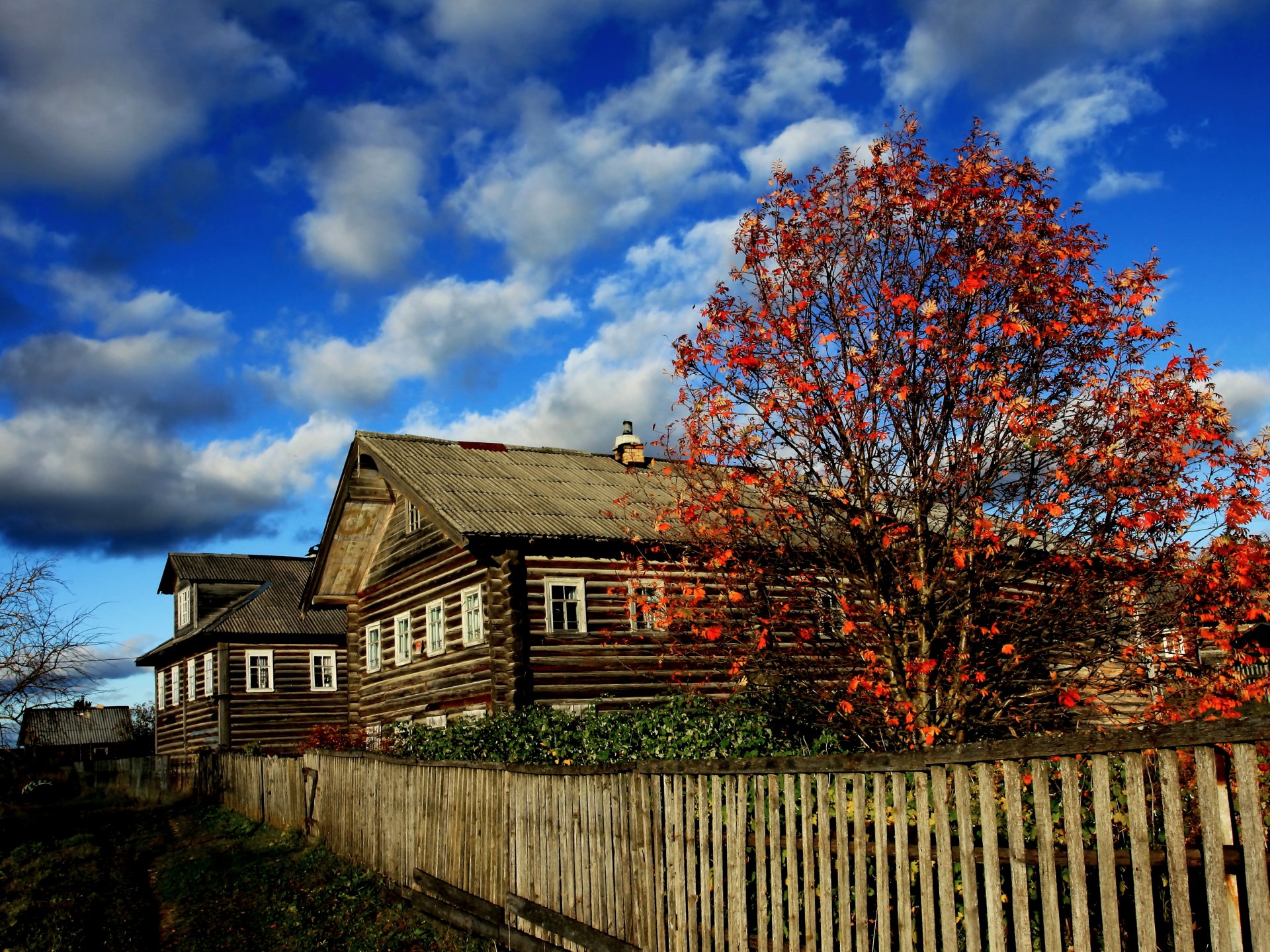 arkhangelsk village russian north hut autumn bright color