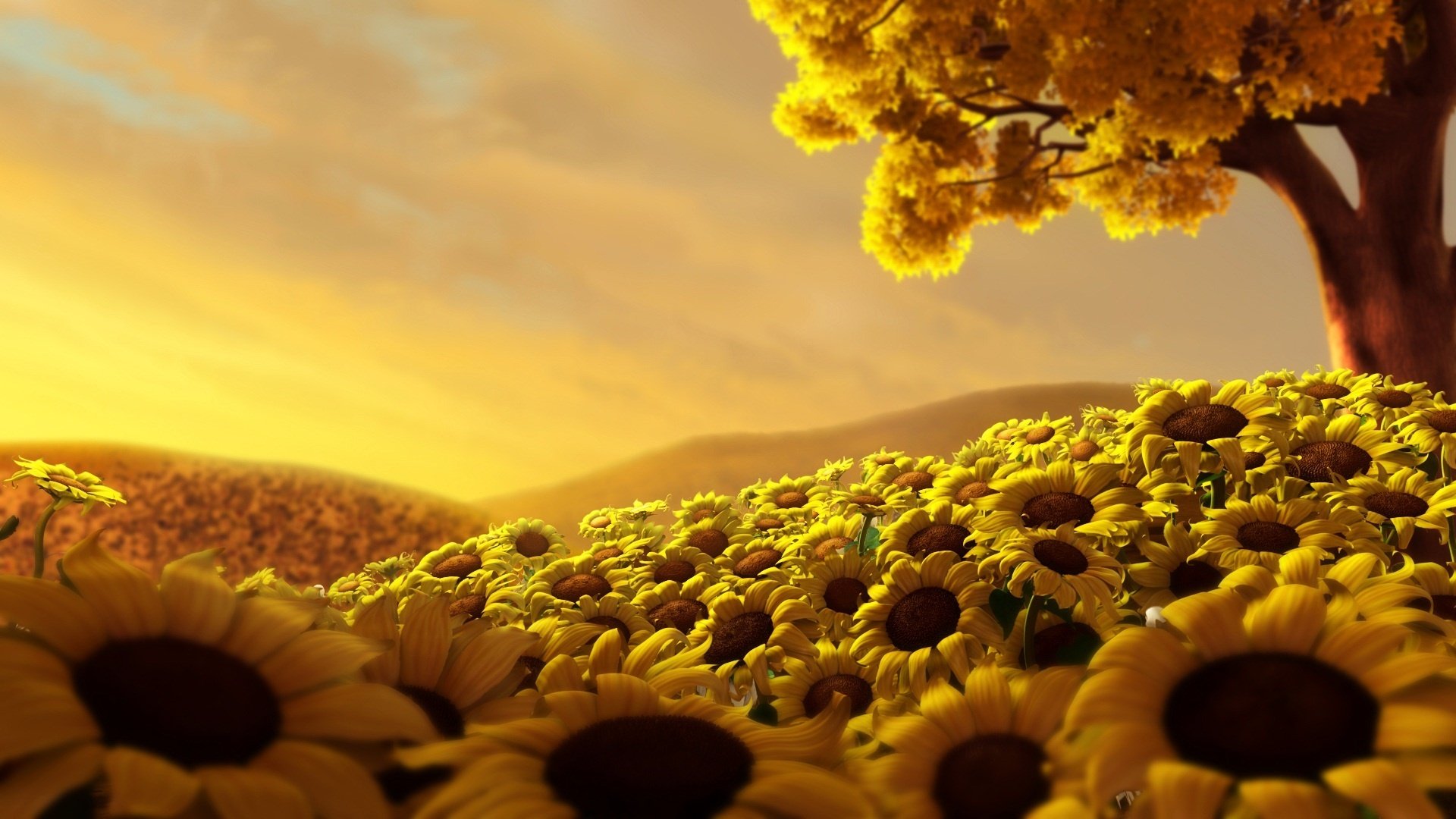 sonnenblumen feld baum himmel