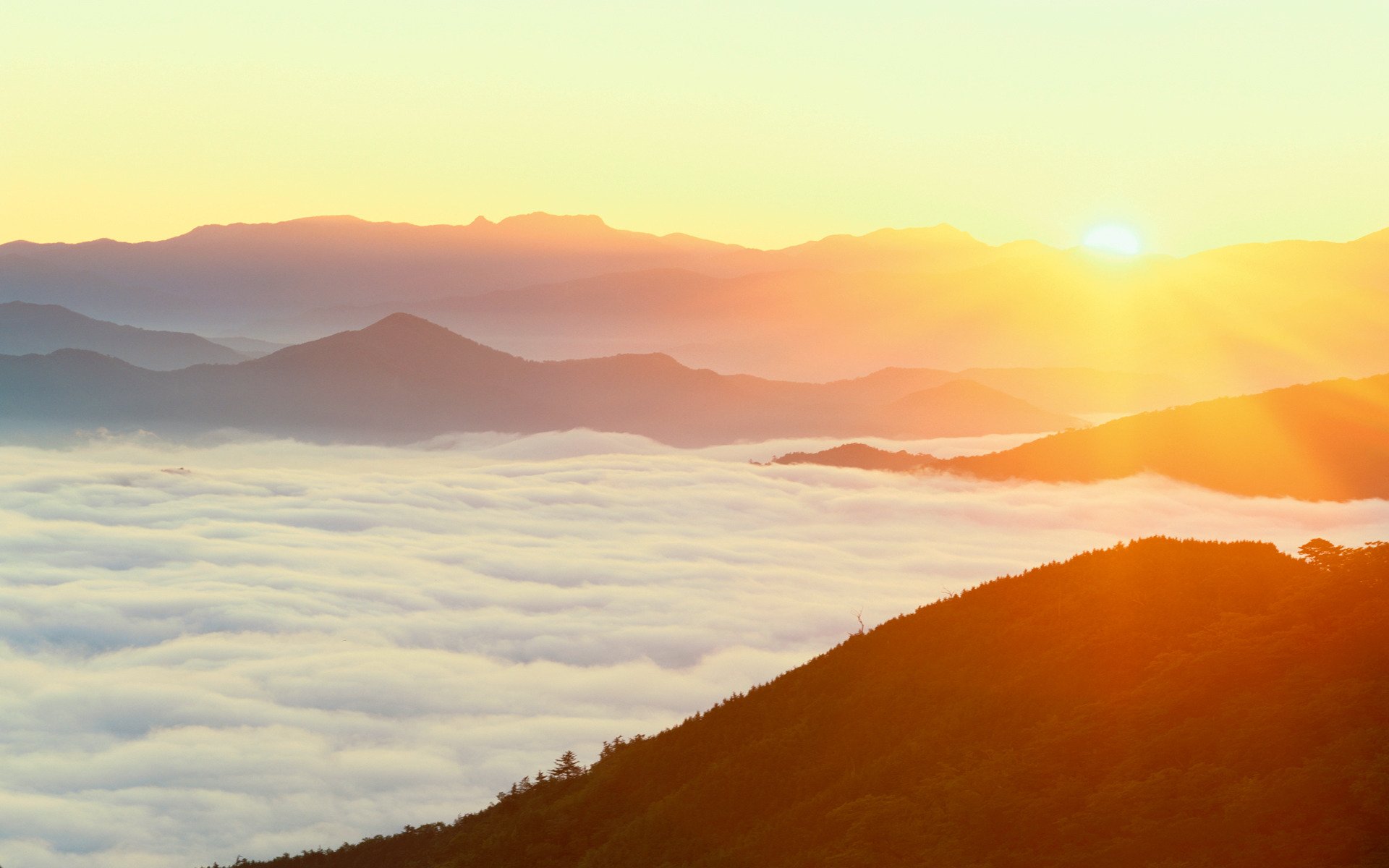 amanecer montañas japón niebla bosque