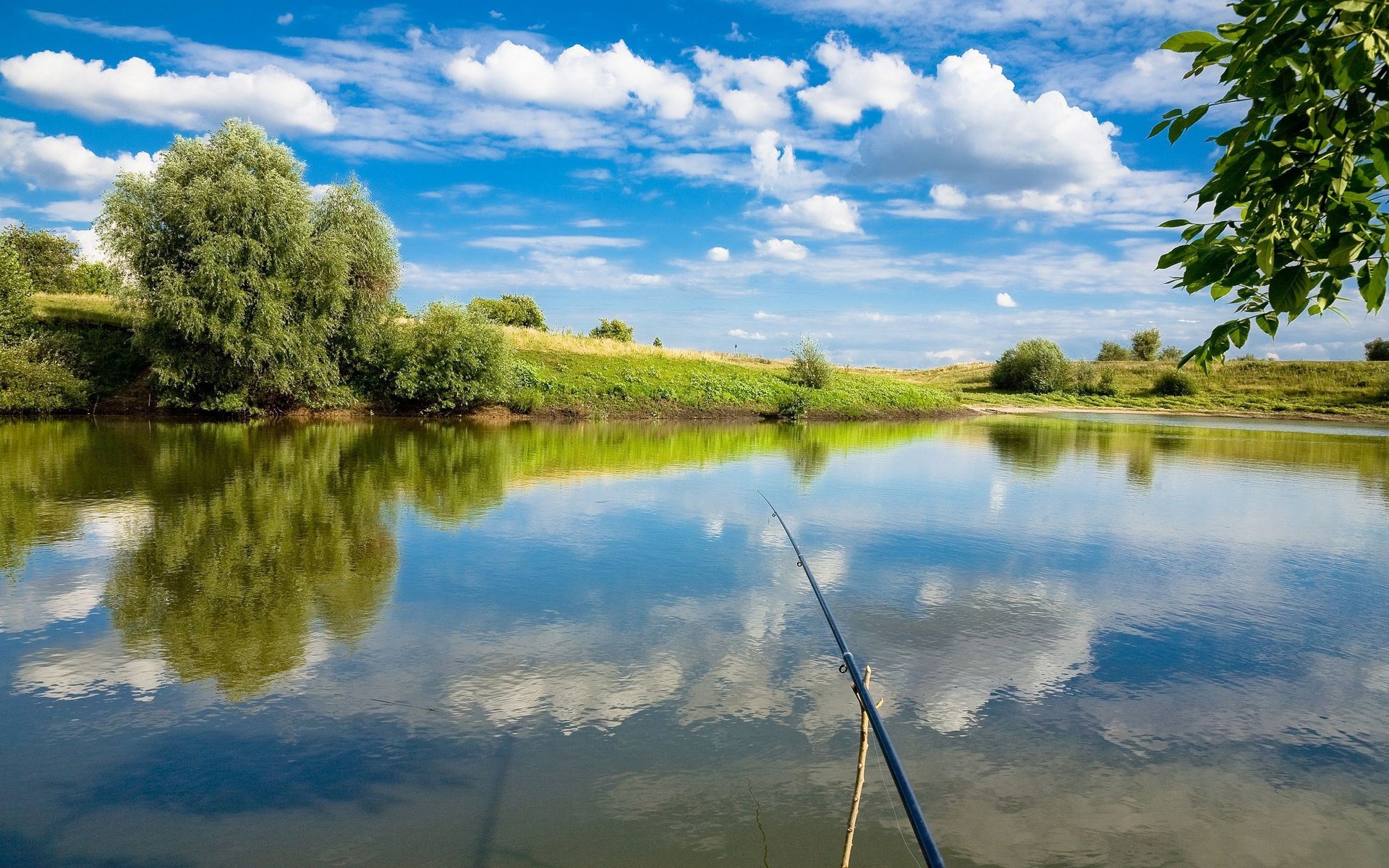 pesca canna da pesca pov