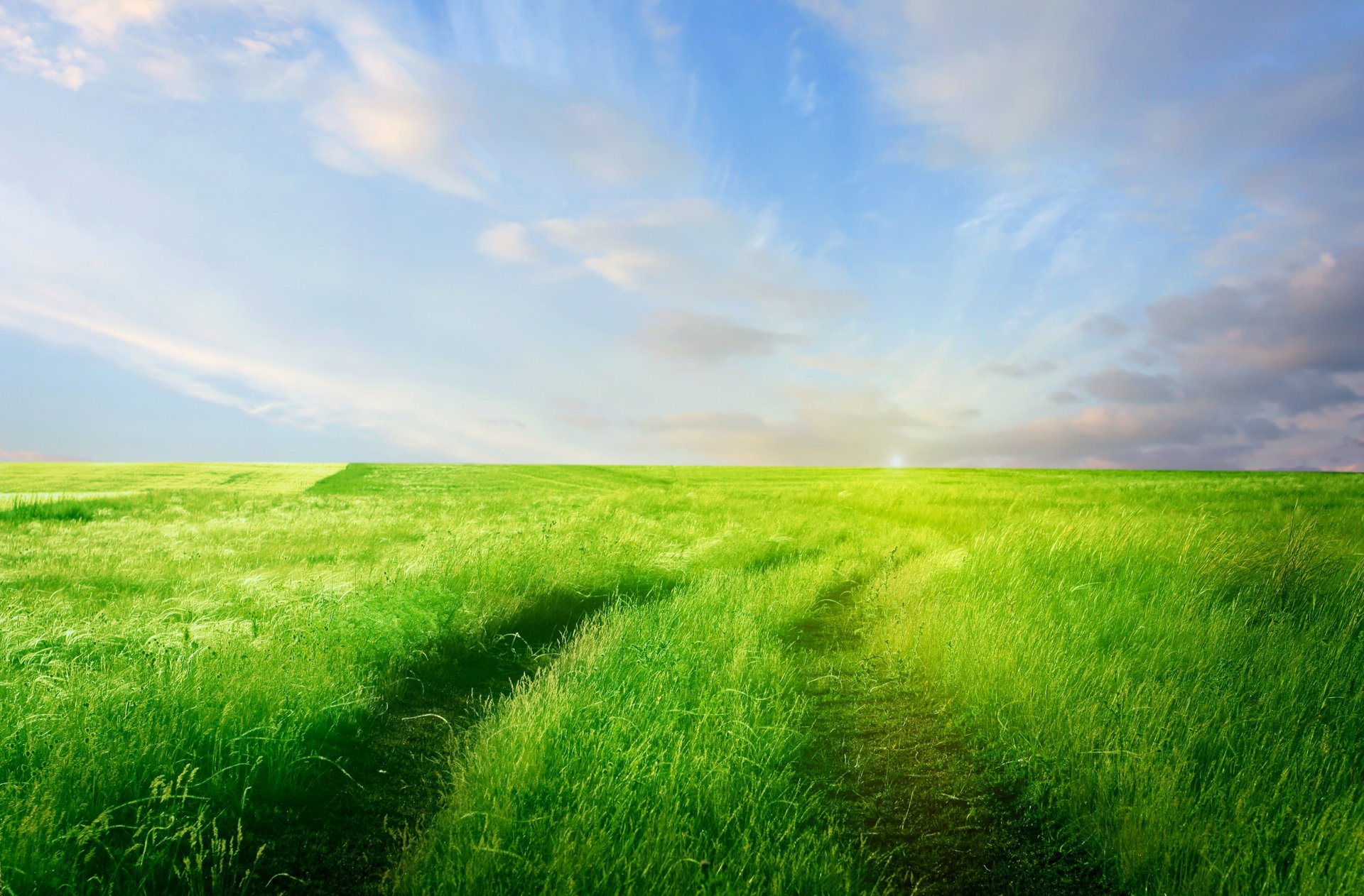 route champ herbe verdure horizon ciel nuages nature