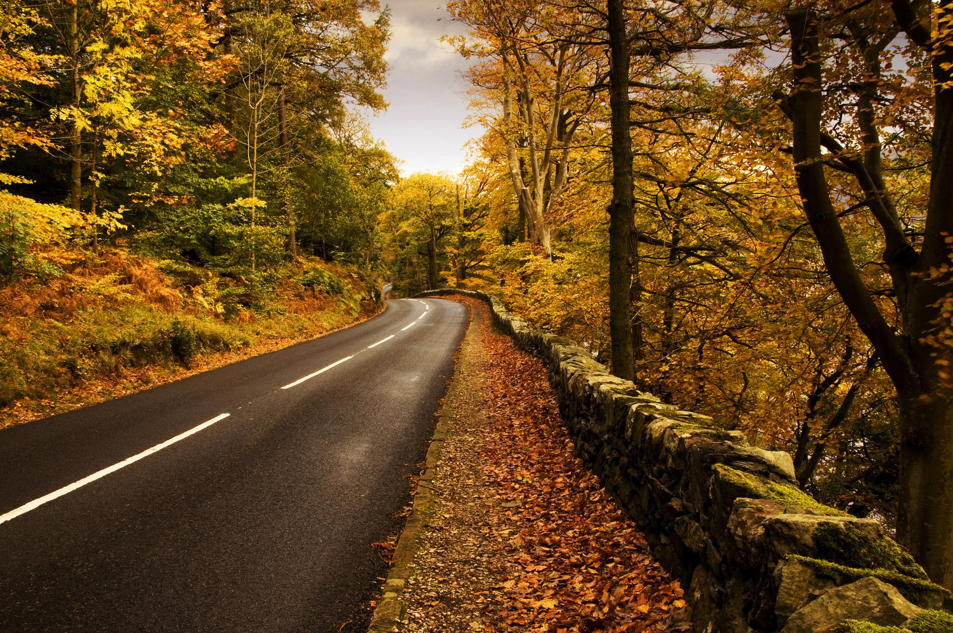 naturaleza otoño carretera marcado