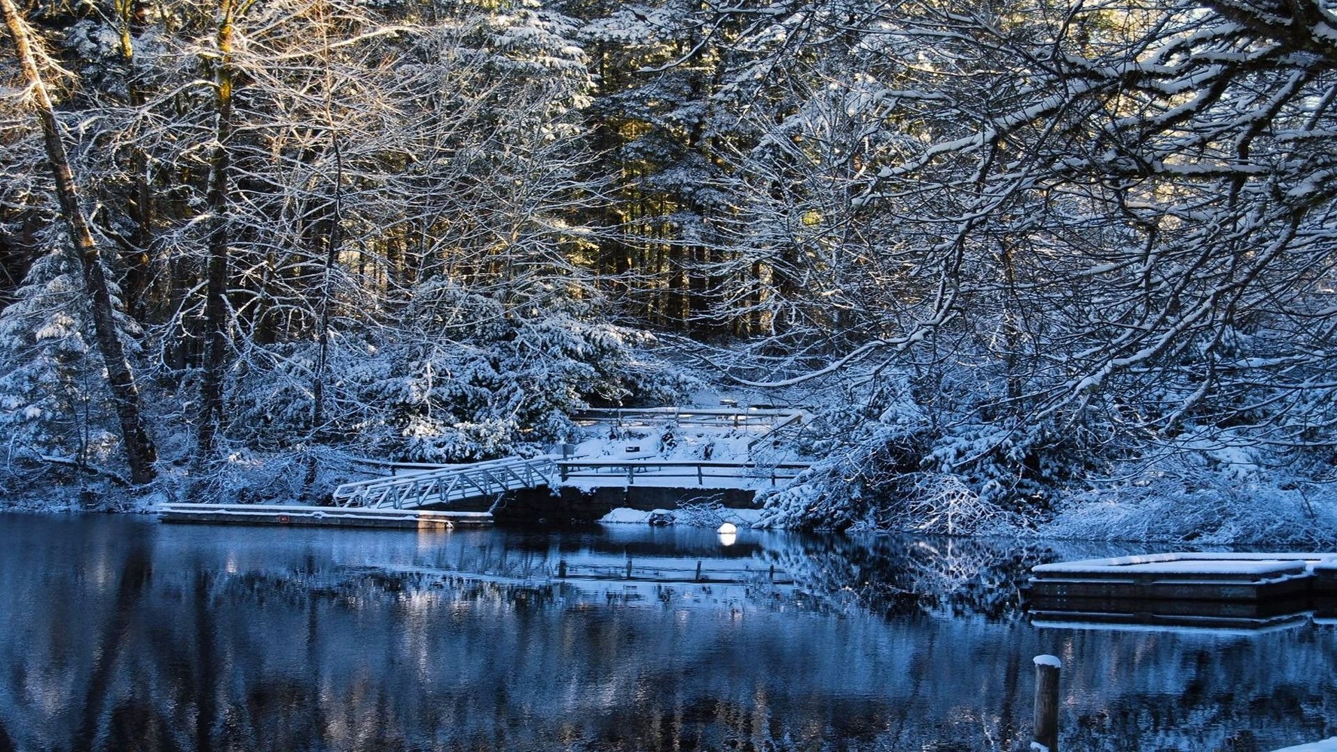 schnee wasser bäume see brücke