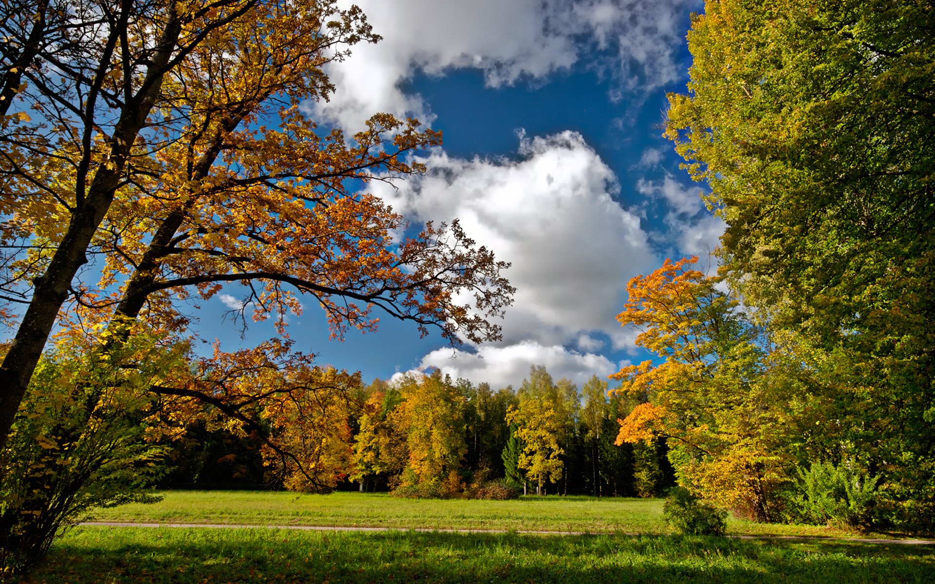 herbst straße landung