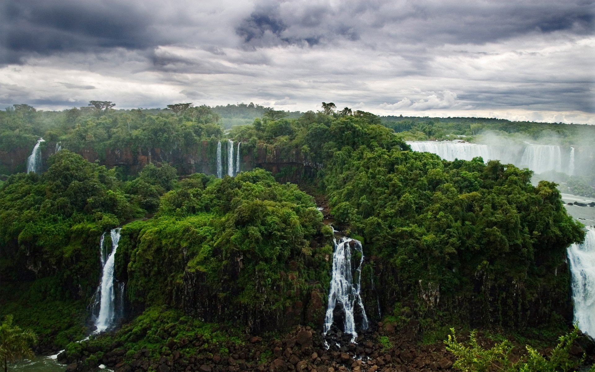 natura dżungla las rzeki wodospady iguazu