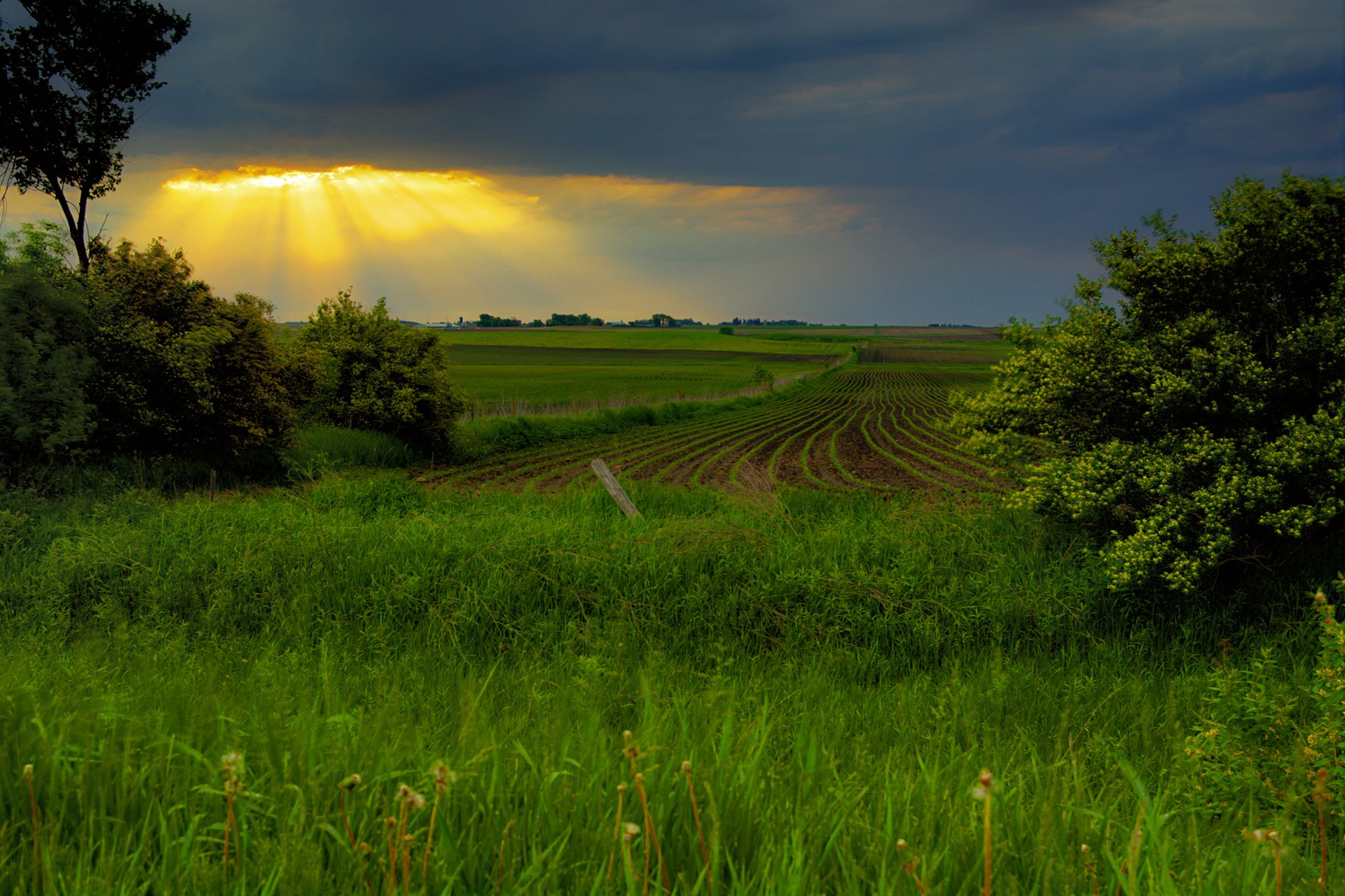 frühling feld sonnenuntergang himmel