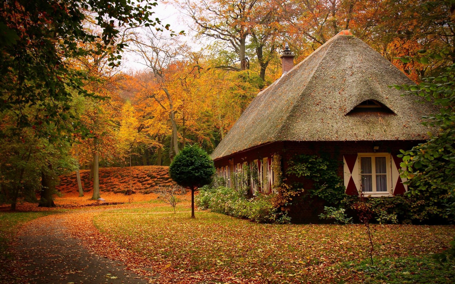 jesień park ścieżka trawa ścieżka plac domek drzewa liście aleja natura