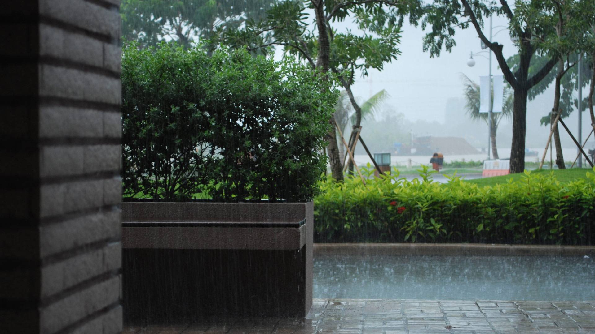 lluvia naturaleza ciudad