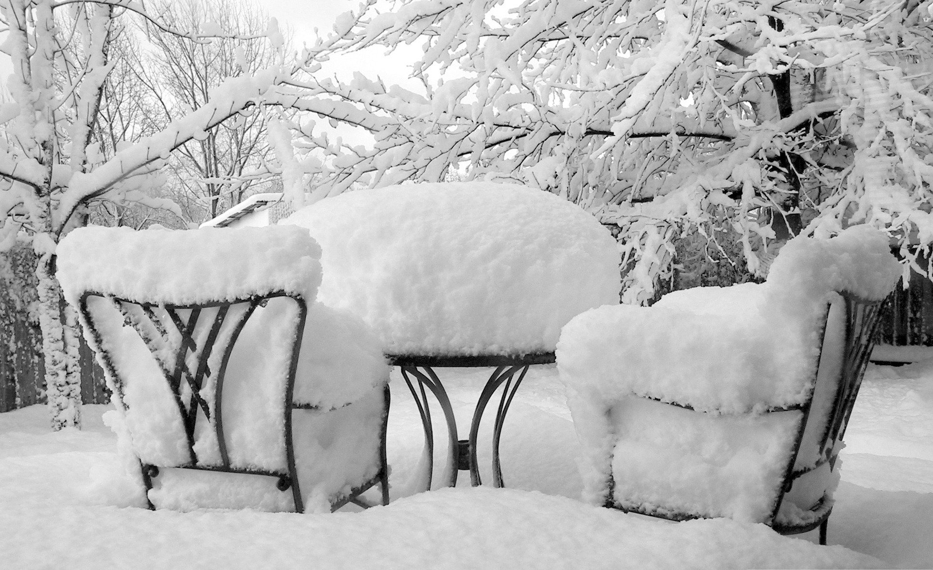 nature hiver neige gel table chaises arbres photo fond fond d écran