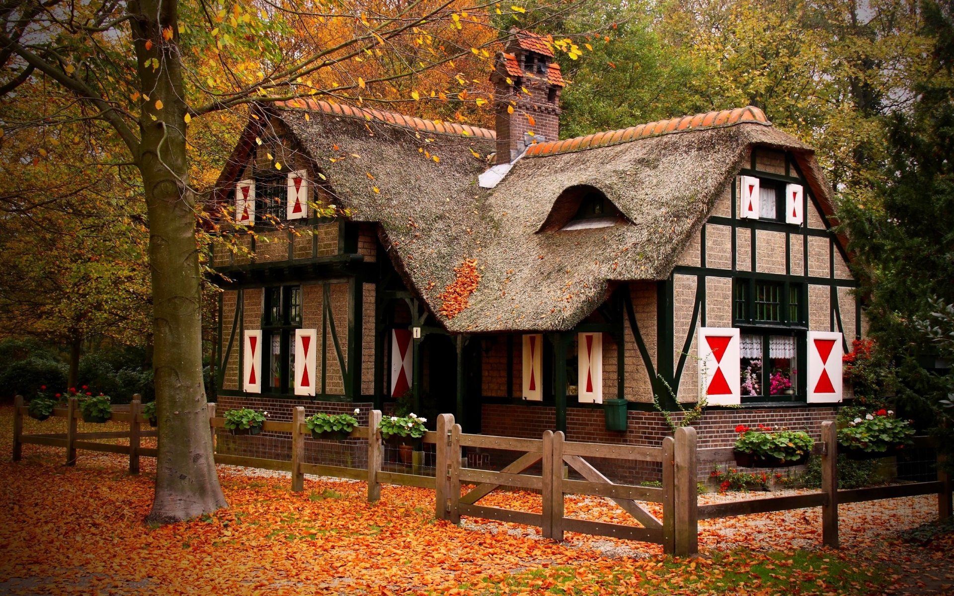 otoño parque casa árboles hojas hierba cerca flores naturaleza