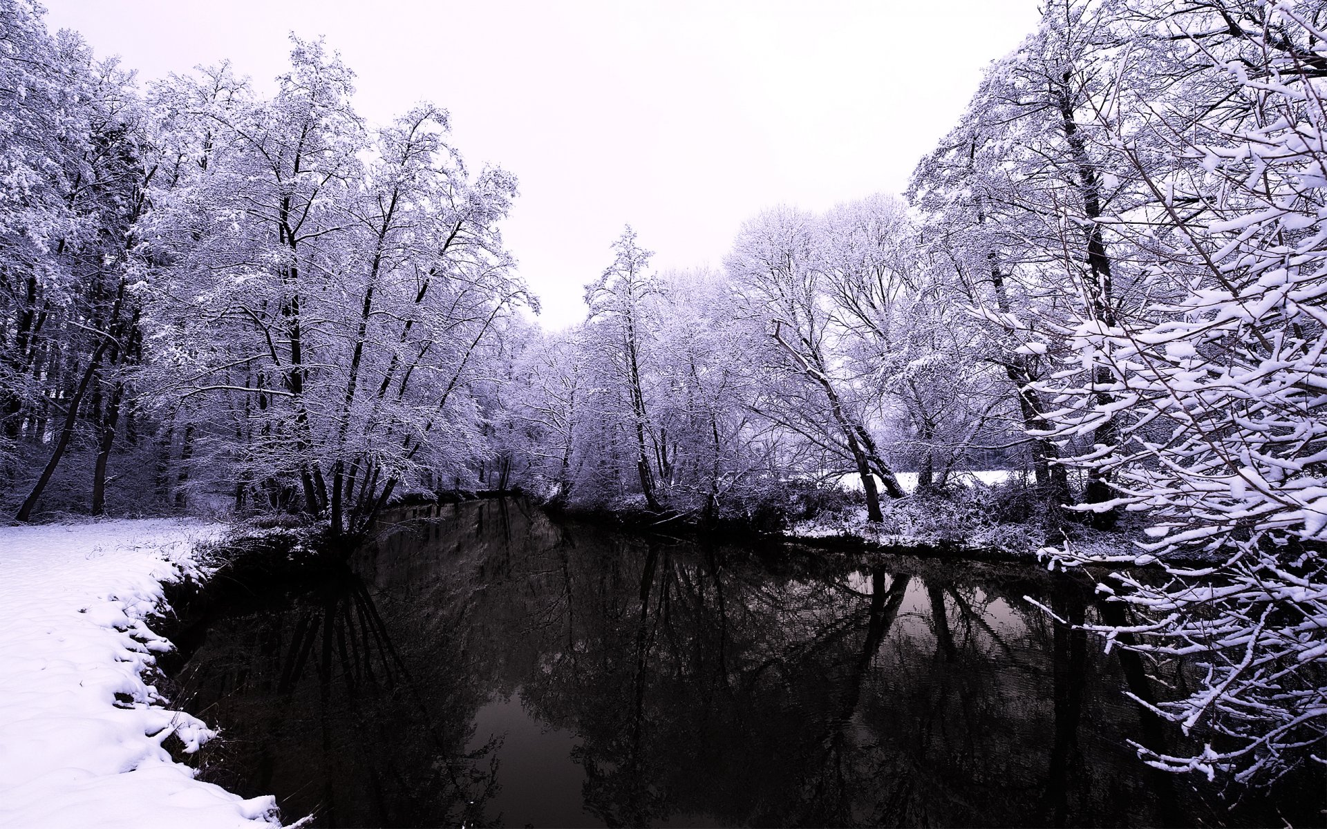 inverno natura foresta fiume neve alberi acqua