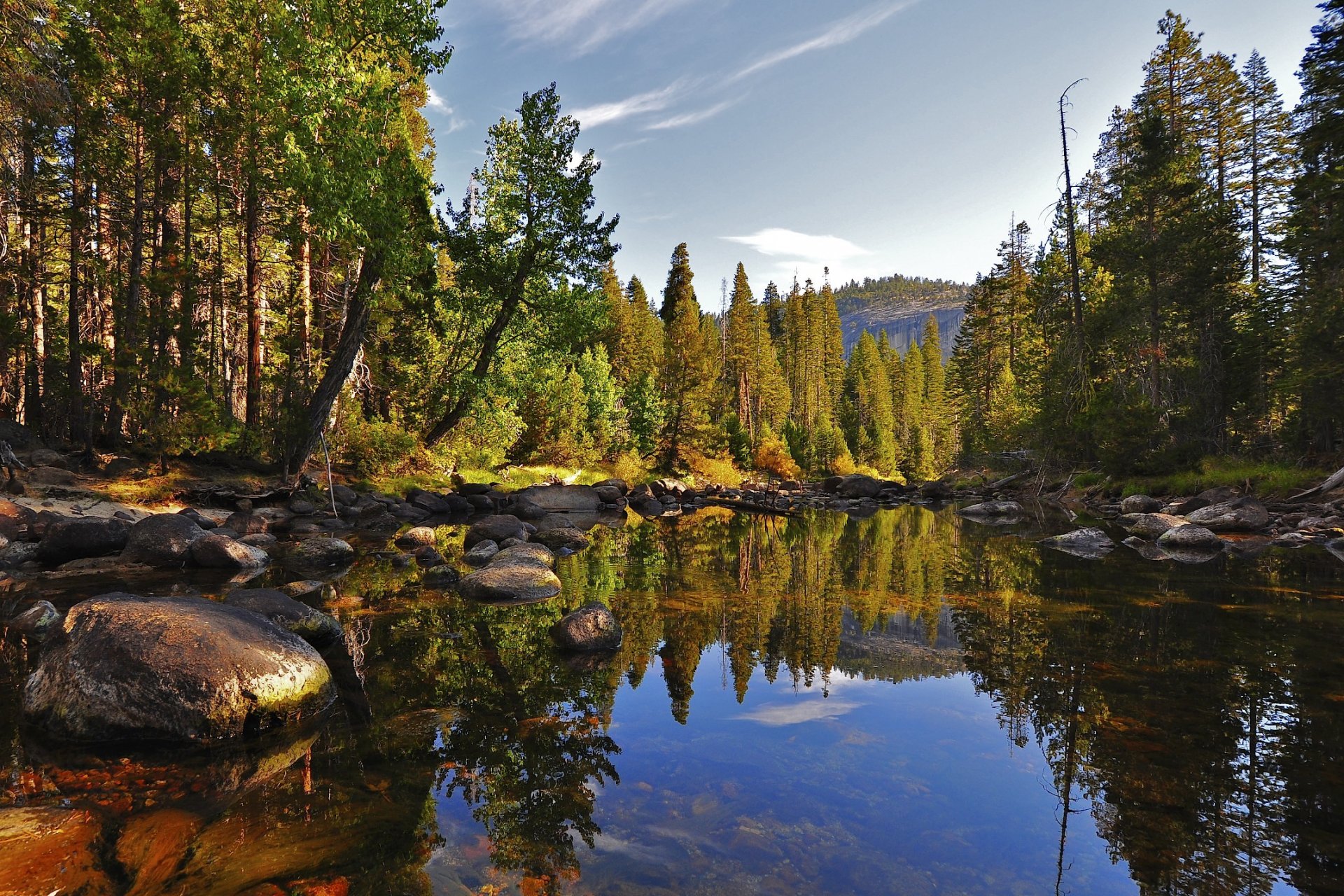 natura lago pietre foresta