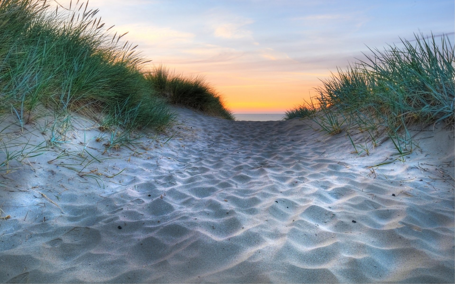 natura makro plaże piasek piaski wybrzeże wybrzeże morze woda horyzont trawa ocean trawa trawa