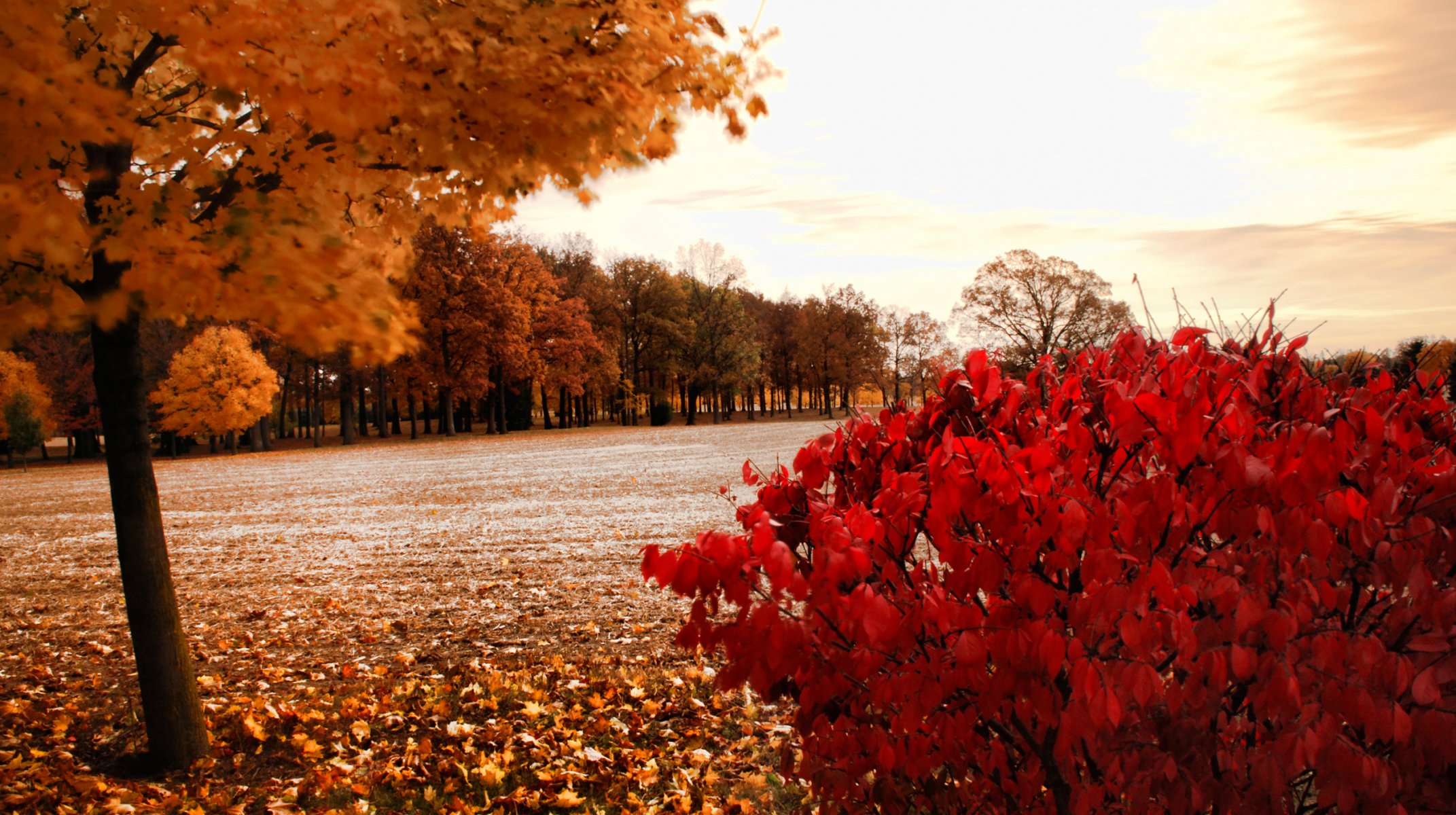 avertissement de tempête parc automne