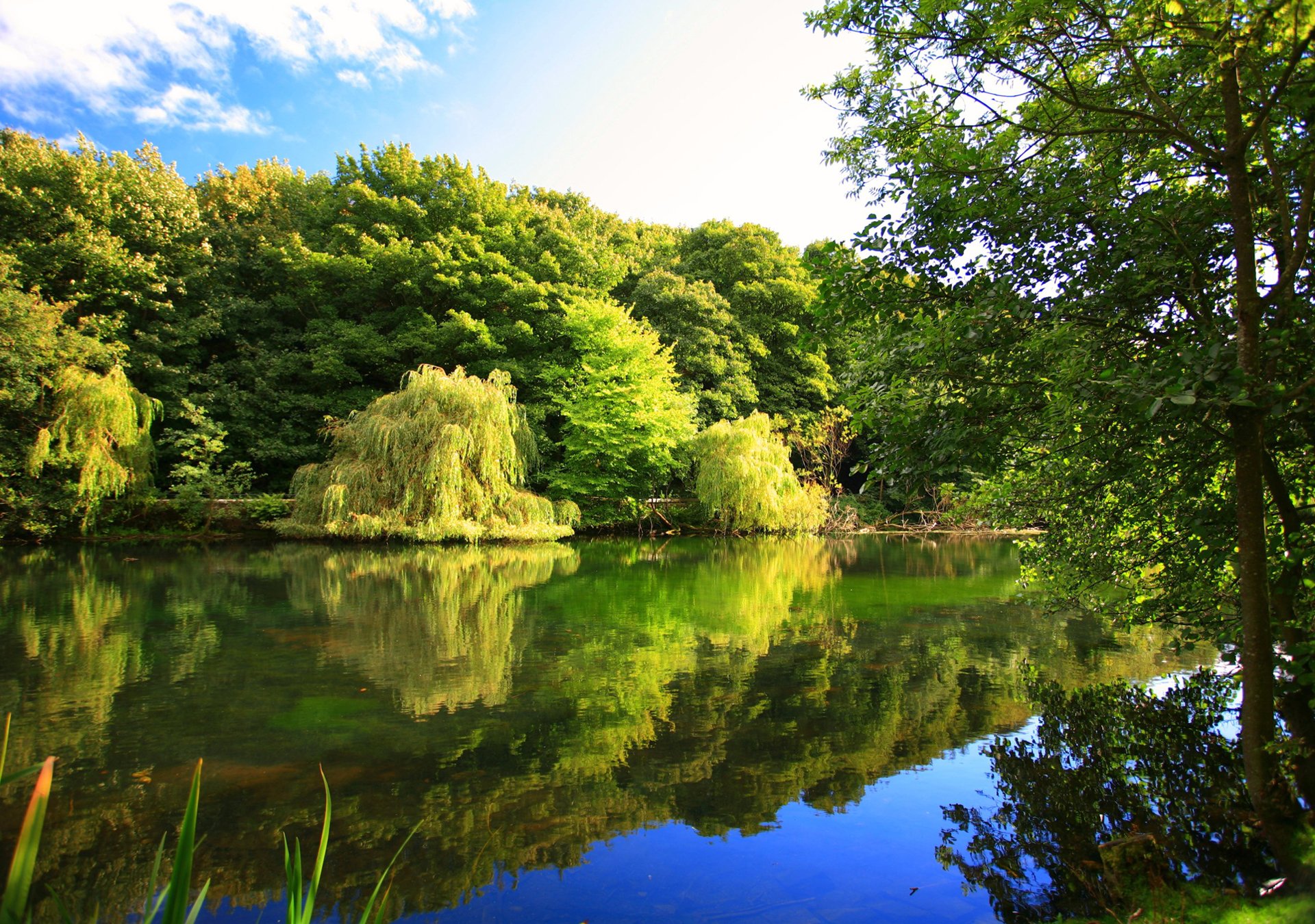 naturaleza otoño río árboles