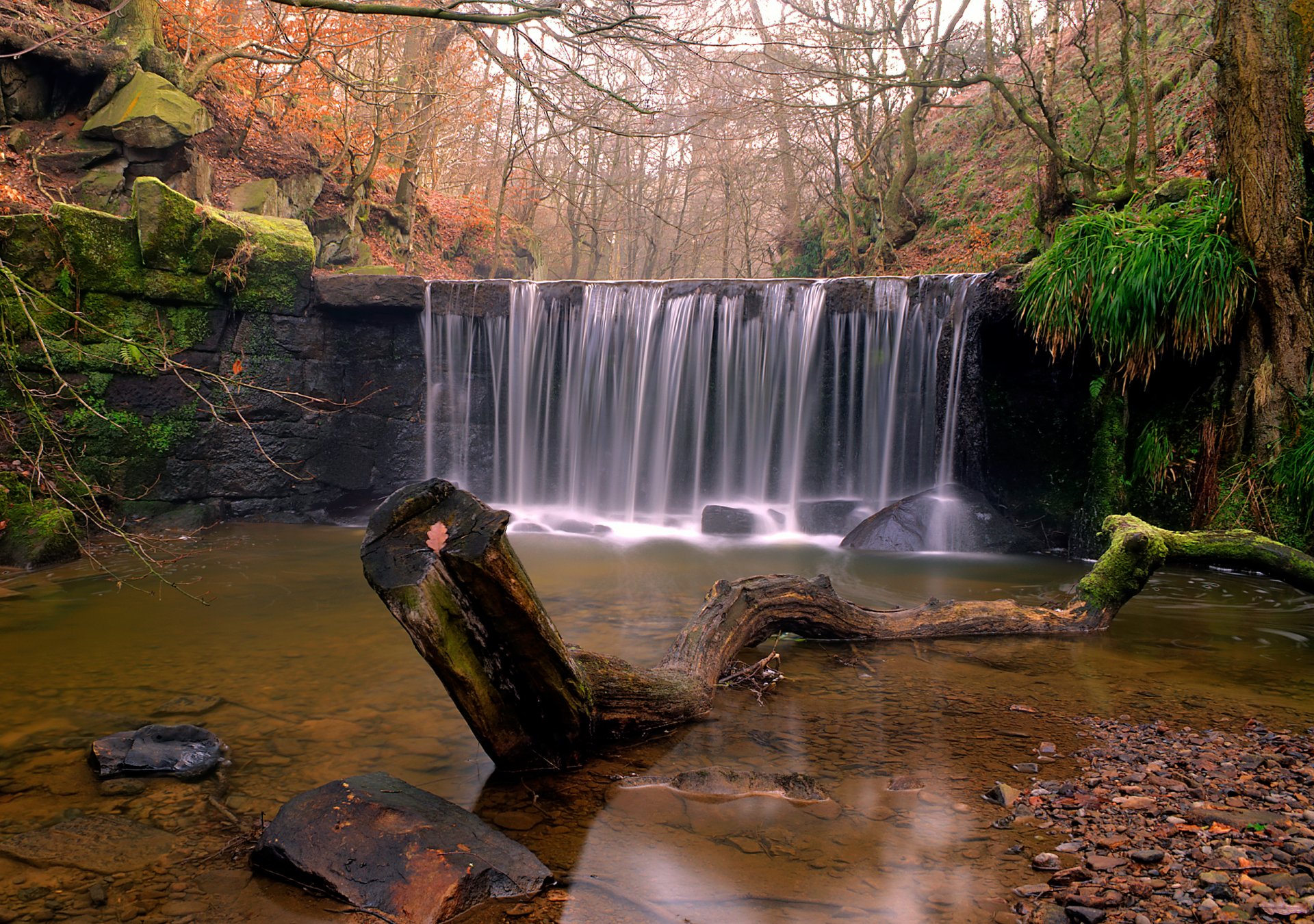 nature forêt rivière cascade bois flotté pierres automne