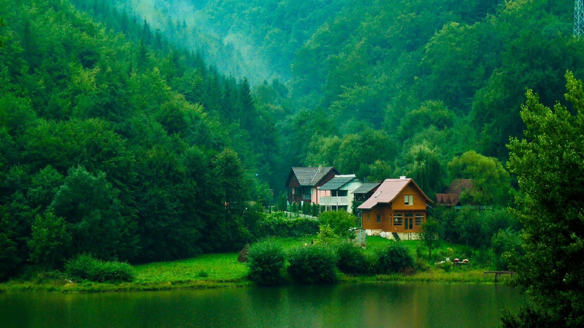 foresta alberi cespugli vegetazione case fiume