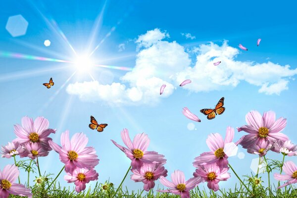 Pink flowers and butterflies on a blue sky background