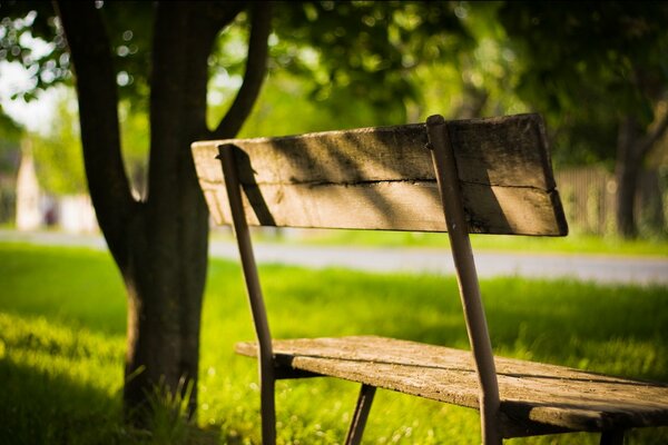 Banco solitario en un día soleado