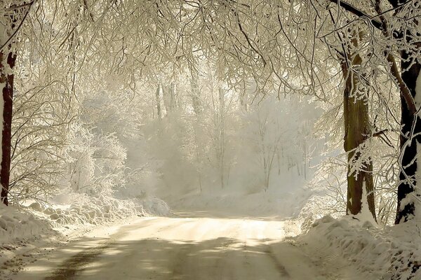 Winterstraße mit hellem Licht