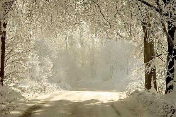 Zimowa droga z jasnym światłem