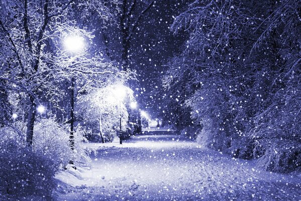 Winterstraße im Park mit Schnee