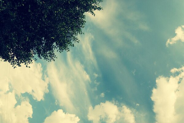 Nubes blancas en el cielo y un trozo de madera