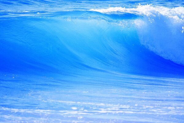 Transparent waves of the blue ocean
