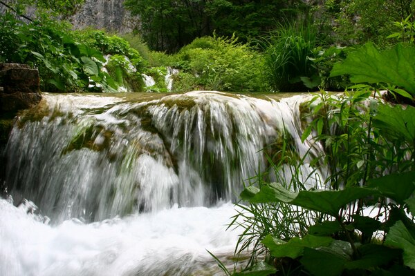 Naturlandschaft schöne grüne Sommer kleiner Wasserfall