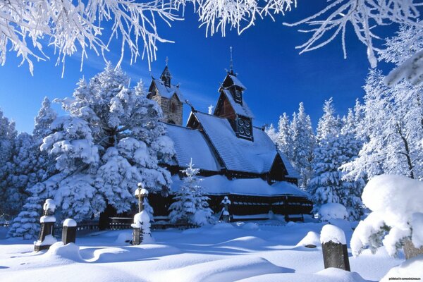 Зимний пейзаж. Церковь и деревья в снегу