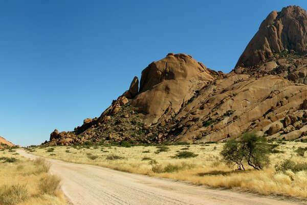 Panorama of the African desert on the background