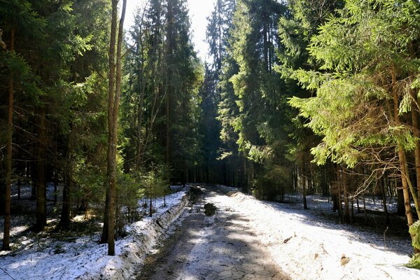 Camino de primavera cubierto de nieve