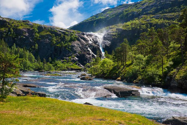 Cascata inondata di sole nella foresta