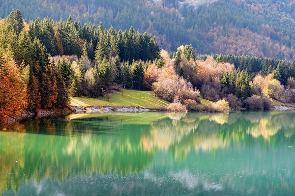 Natur Herbst Ufer in der Nähe von Fluss und Wald