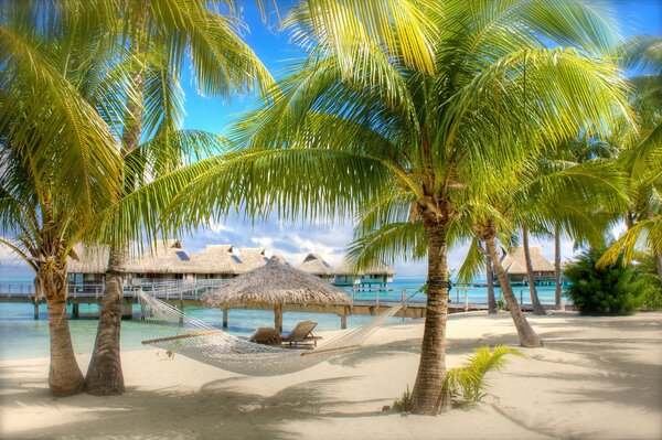 Hammock on the beach with palm trees