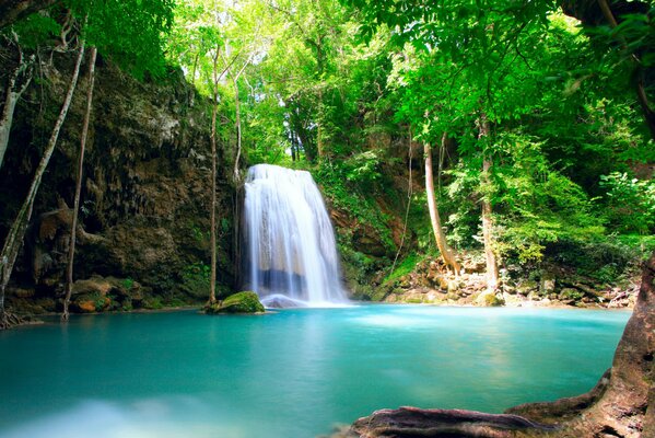 Cascada y lago azul en la selva tropical