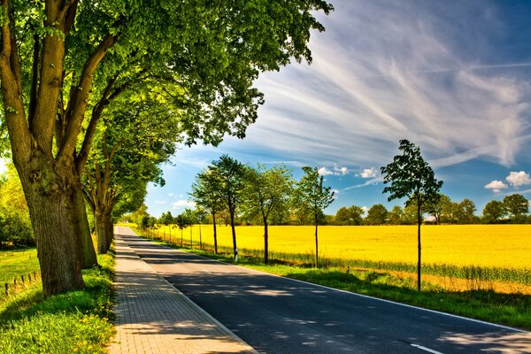 Droga wzdłuż pola z drzewami na poboczu drogi