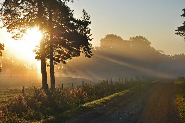 The morning sun illuminates an empty road