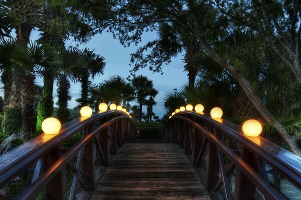 Vue du soir sur le pont avec des palmiers