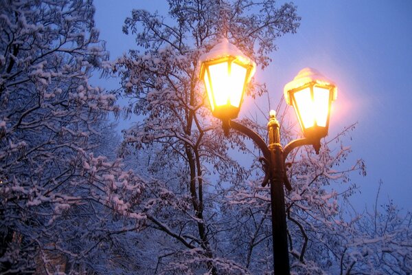 Winterabend. Brennende Laternen