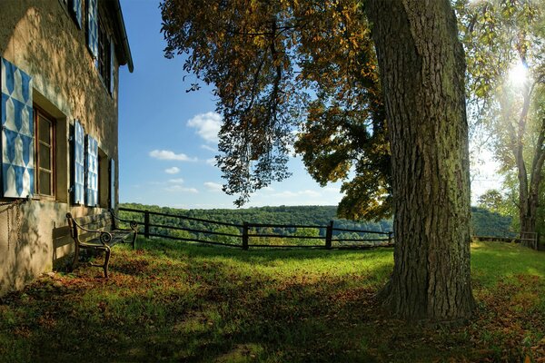 La beauté de la nature du matin dans le village