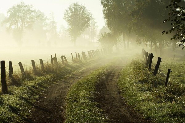 Morning dawn, the road in the fog