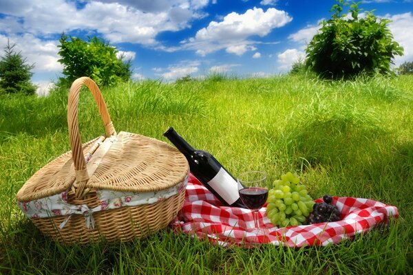 Piknik na zielonej trawie na wiosnę