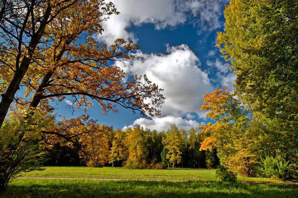 Camino plano en la siembra de otoño