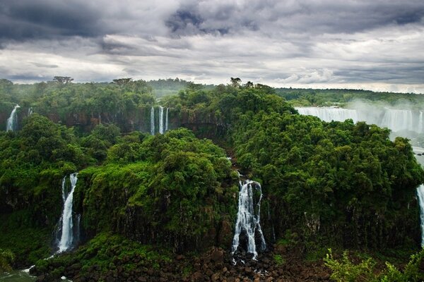 Dschungel Natur Wald Schönheit Wasserfälle und Flüsse