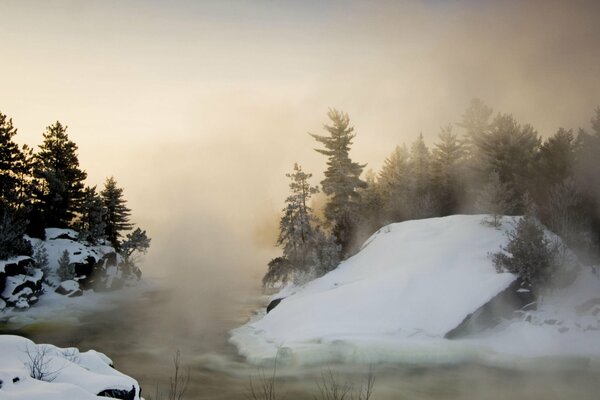 Bel hiver dans la forêt