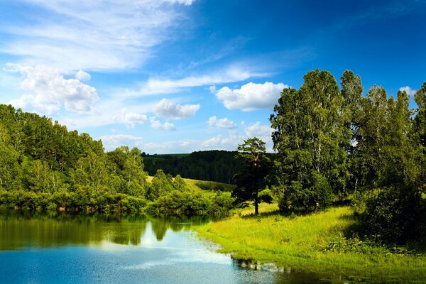 Landschaft des blauen Sees und des Waldes